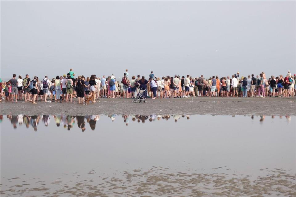 Auflauf am Strand von Oostduinkerke: Die Krabbenfischer auf den Pferden sind Touristenmagnet.Stefan Weißenborn/dpa-tmn