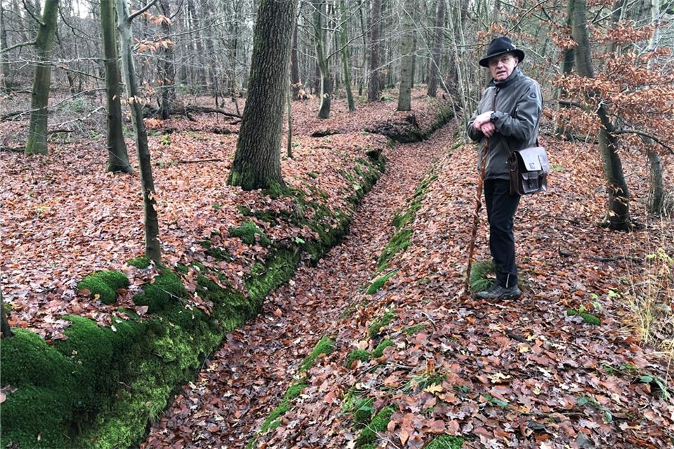 August Sühling in seinem Lieblingswald bei Burlo.