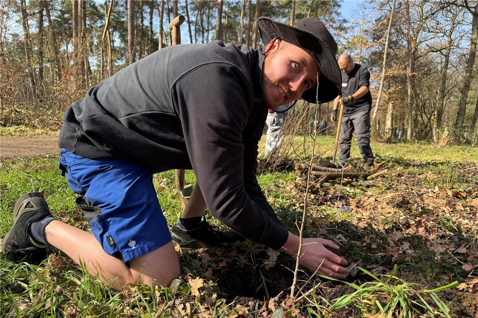 Aus Anlass des Internationalen Tag des Waldes am 21. März wurden in dem Wildpark auch von Jann junge Haseln angepflanzt.Michael Bauer/dpa