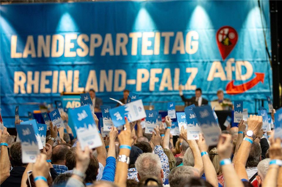 Aus Sicht der AfD ist der Parteitag auch ein Auftakt zum anstehenden Wahlkampf. (Archivbild)Laszlo Pinter/dpa