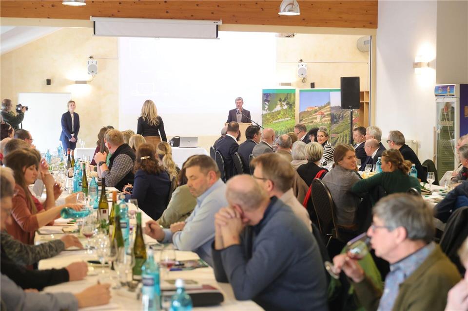 Aus Sicht des Weinbauverbandes müssen unter anderem bei der Vermarktung neue Wege eingeschlagen werden.Bodo Schackow/dpa