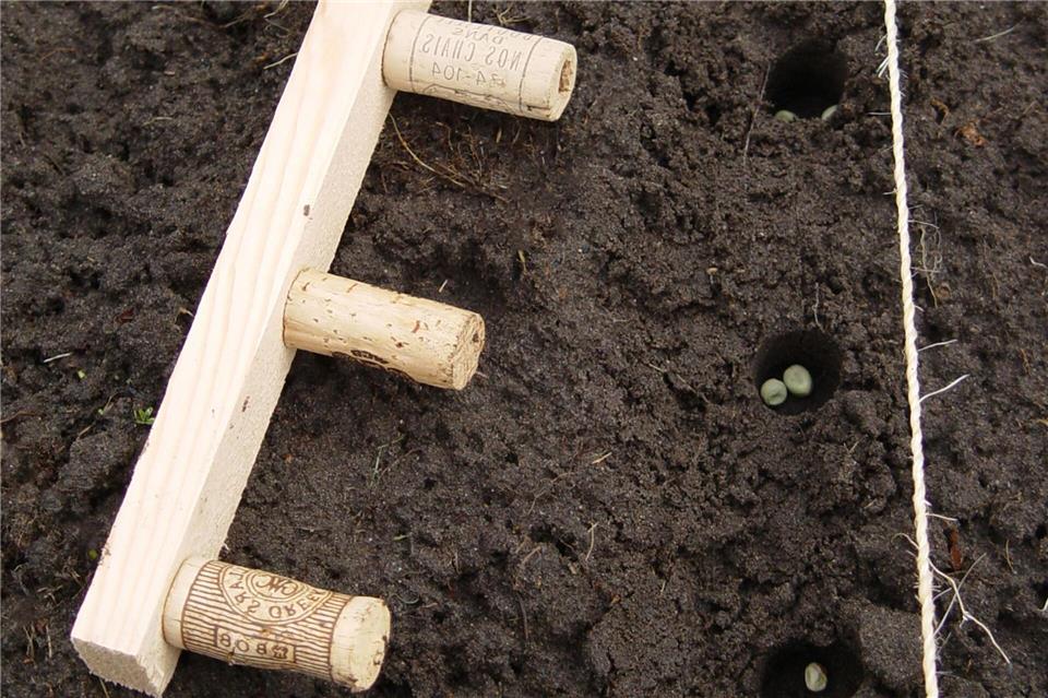 Aus alten Weinkorken wird mit Hilfe einer Holzleiste eine Aussaathilfe.DIY Academy/dpa-tmn