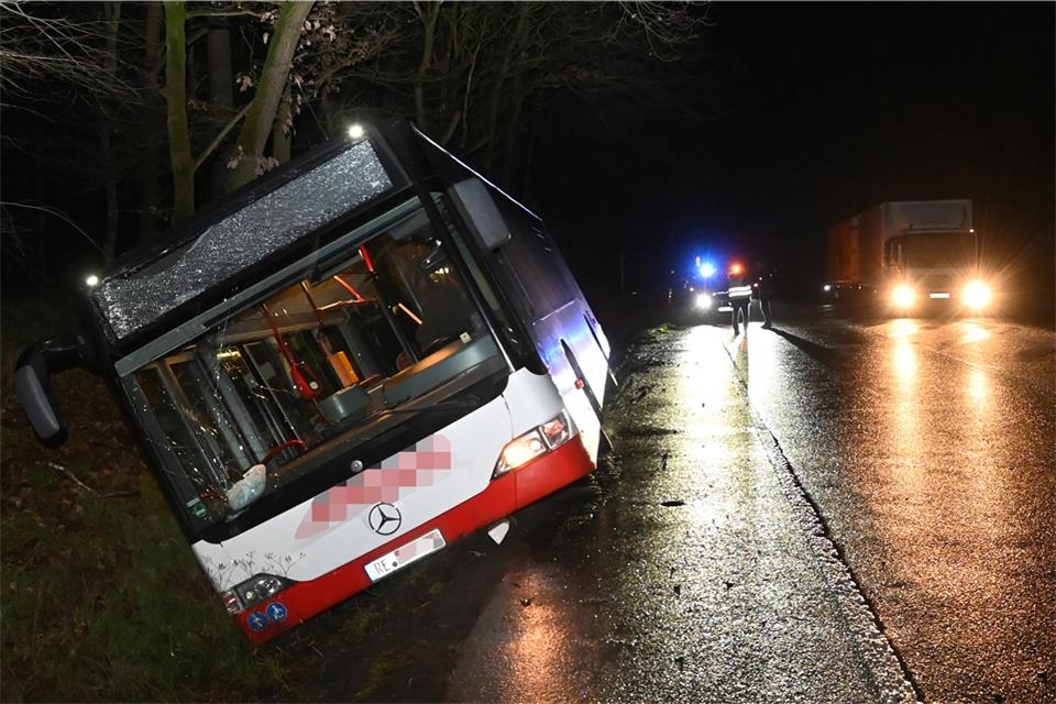 Aus bislang ungeklärter Ursache ist der Busfahrer mit seinem Linienbus im Straßenraben gelandet.