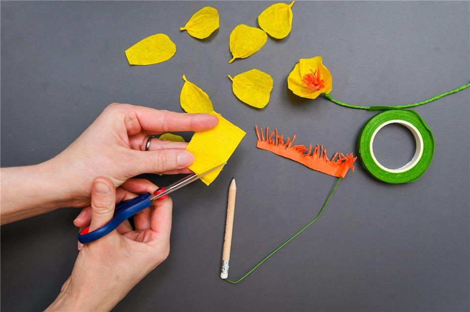 Aus dem gefalteten Krepppapier einfach einzelne Blütenblätter ausschneiden und diese am unteren Ende etwas eindrehen.Zacharie Scheurer/dpa-tmn