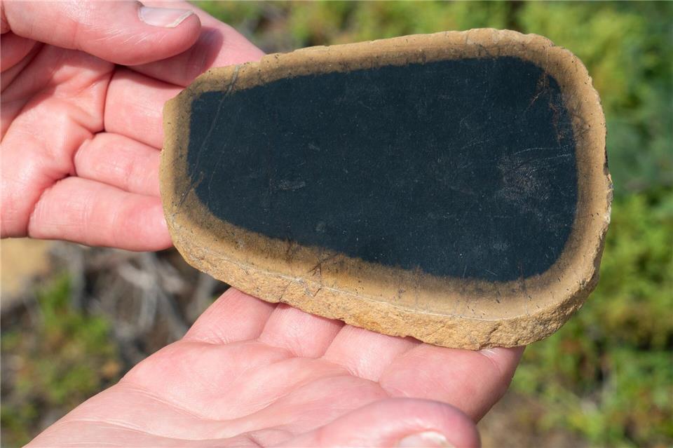 Außen hell und innen ganz schwarz: Geologin Kirsten Oravecs zeigt einen aufgeschlagenen Stein.Andreas Drouve/dpa-tmn