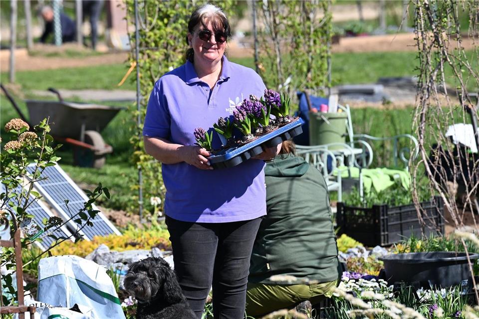 Ausstellerin Nicole Hastrich zeigt mit ihrem Team auf dem Gelände der Landesgartenschau moderne Grabbepflanzung.Volker Danisch, dpa