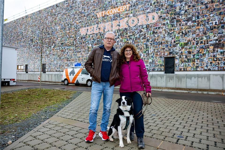 Australian-Shepherd-Mix Lenny ist eines der 8.000 Tiere. Laszlo Pinter/dpa