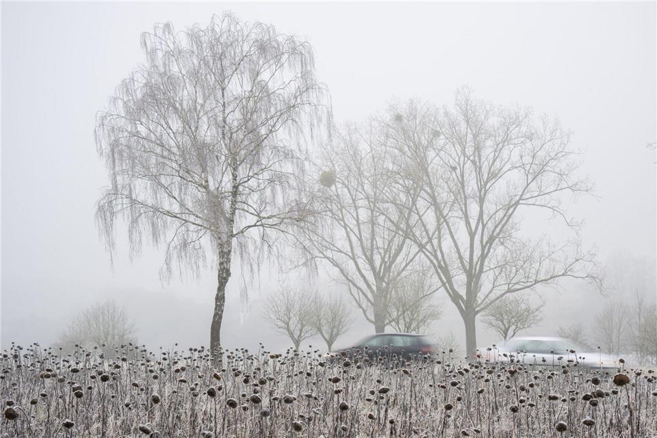 Autofahrer in Rheinland-Pfalz und Saarland erwarten ebenso im neuen Jahr winterliche Straßenverhältnisse. (Archivbild)Harald Tittel/dpa