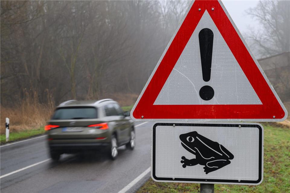 Autofahrer sollten in dieser Jahreszeit auf wandernde Frösche aufpassen. (Symbolbild)Patrick Pleul/dpa