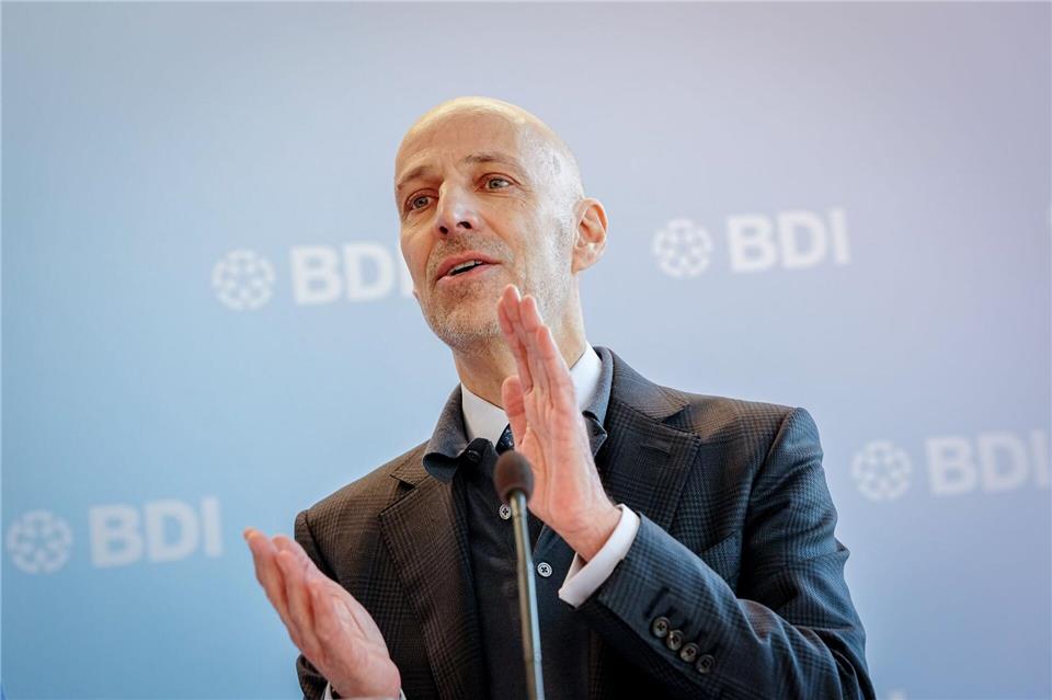 BDI-Präsident: Auch Industrie muss Hausaufgaben machen. Kay Nietfeld/dpa