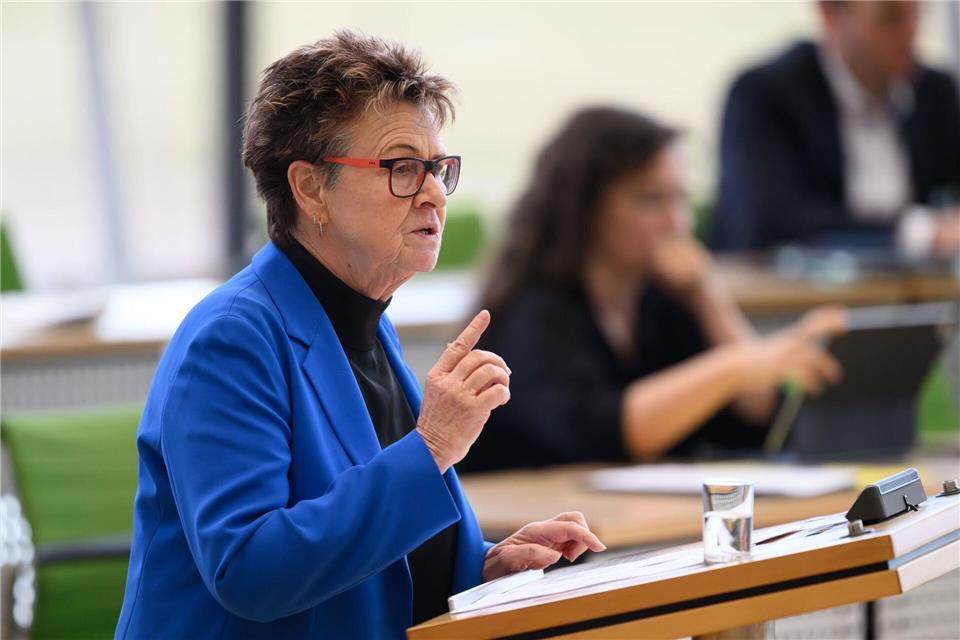 BSW-Fraktionschefin Sabine Zimmermann hat den Zustand der politischen Kultur auch in Sachsen beklagt.Robert Michael/dpa