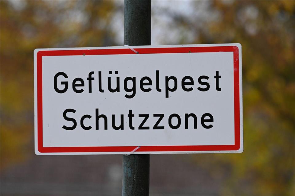 Minister rechnet mit Ausbreitung der Vogelgrippe nach Süden  Baden-Württembergs Agrarminister Peter Hauk (CDU) geht davon aus, dass sich die Vogelgrippe auch im Süden Deutschlands weiter verbreiten wird. (Symbolbild)Stefan Sauer/dpa