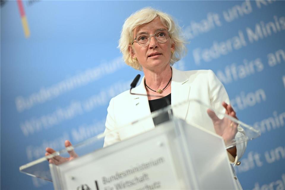 Bärbel Heidebroek, Präsidentin des Bundesverbands Windenergie (Archivbild)Britta Pedersen/dpa