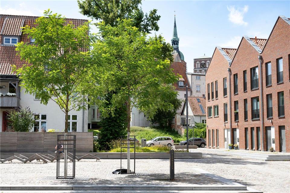 Bäume spenden Schatten und sorgen in der Altstadt von Stralsund für geringere Temperaturen.Stefan Sauer/dpa