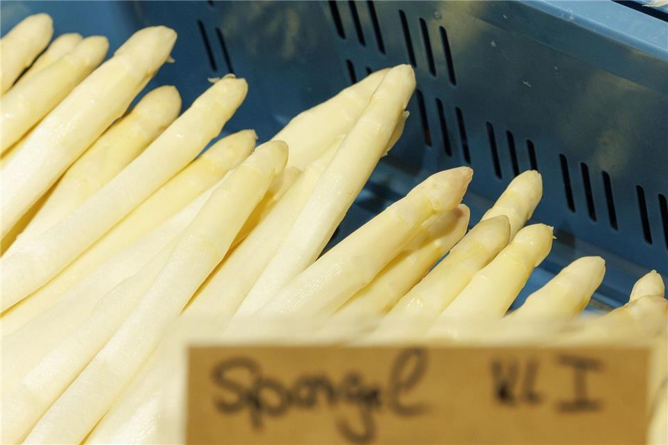 Bald geht die Spargelsaison los - viele regionale Anbaubetriebe bieten das Gemüse dann wieder an. (Archivbild)Friso Gentsch/dpa