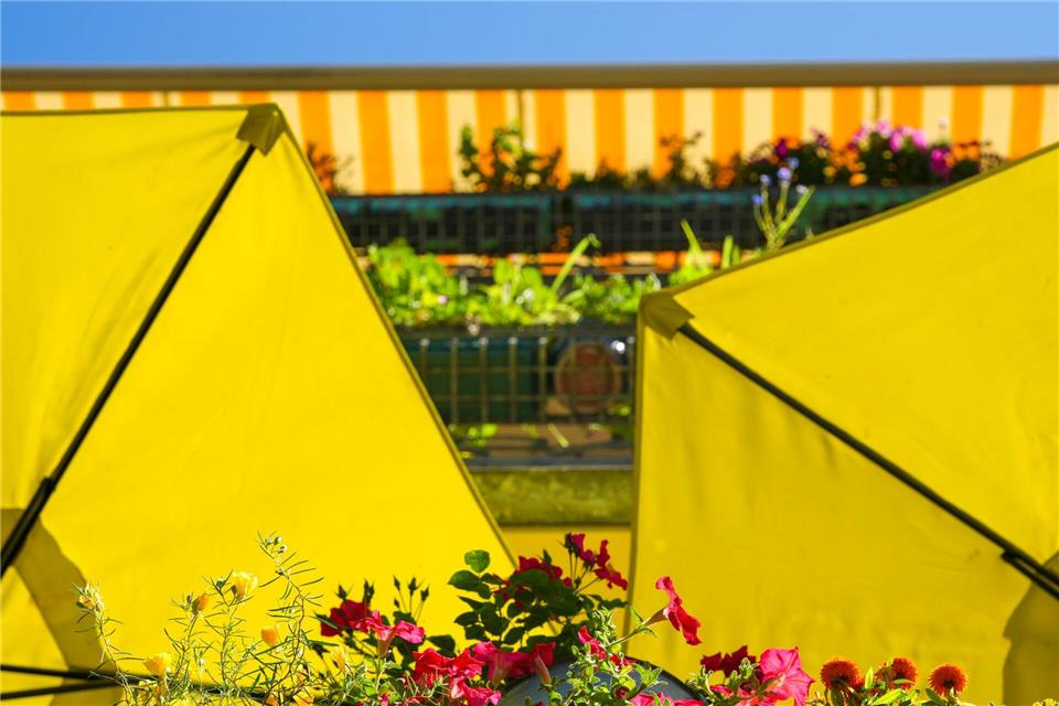 Balkon-Sommeridylle mit roten Blüten, gelben Schirmen und strahlendem HimmelSoeren Stache/dpa
