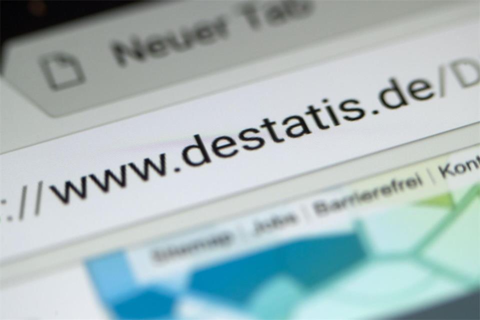 Basis der Befunde ist die Haushaltsbefragung Mikrozensus. (Symbolbild)Jens Büttner/dpa-Zentralbild/dpa