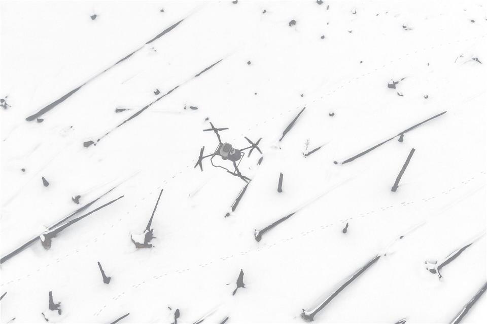 Baumaussaat bei Schnee, Eis und Nebel auf der Saalfelder Höhe.Bodo Schackow/dpa