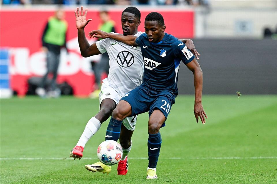 Bazoumane Touré (r) zählte zu den auffälligsten Hoffenheimern. Uwe Anspach/dpa