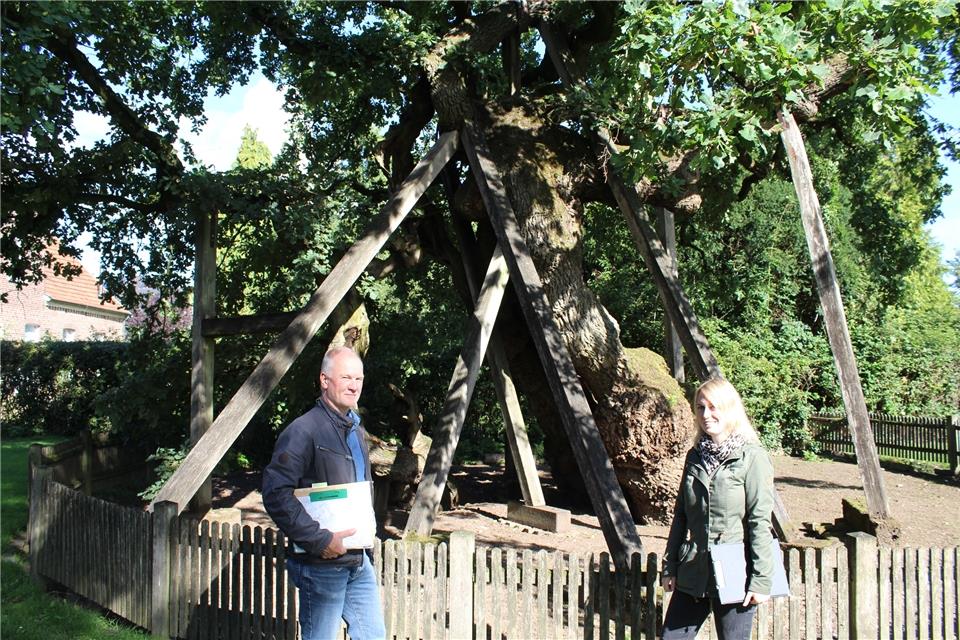 Begutachten die Femeiche: Norbert Stuff und Tina Olthoff von der Unteren Naturschutzbehörde des Kreises Borken.