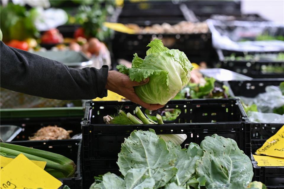 Behörden in den USA bringen einen Ausbruch in neun Bundesstaaten mit Eisbergsalat in Verbindung. (Symbolbild)Arne Dedert/dpa