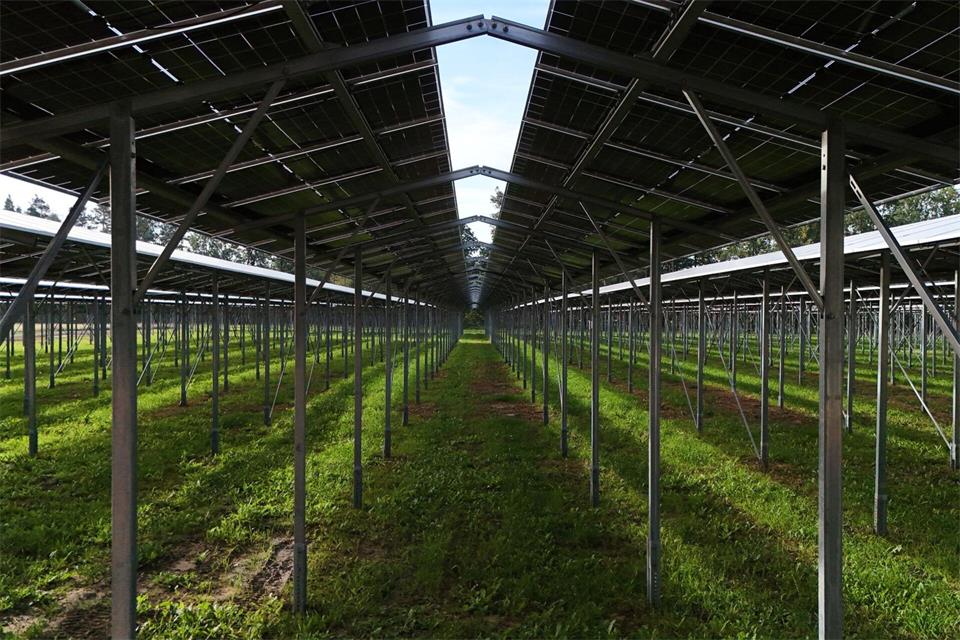 Bei Bad Klosterlausnitz soll in Zukunft Solarstrom gewonnen und Obst angebaut werden.Martin Schutt/dpa