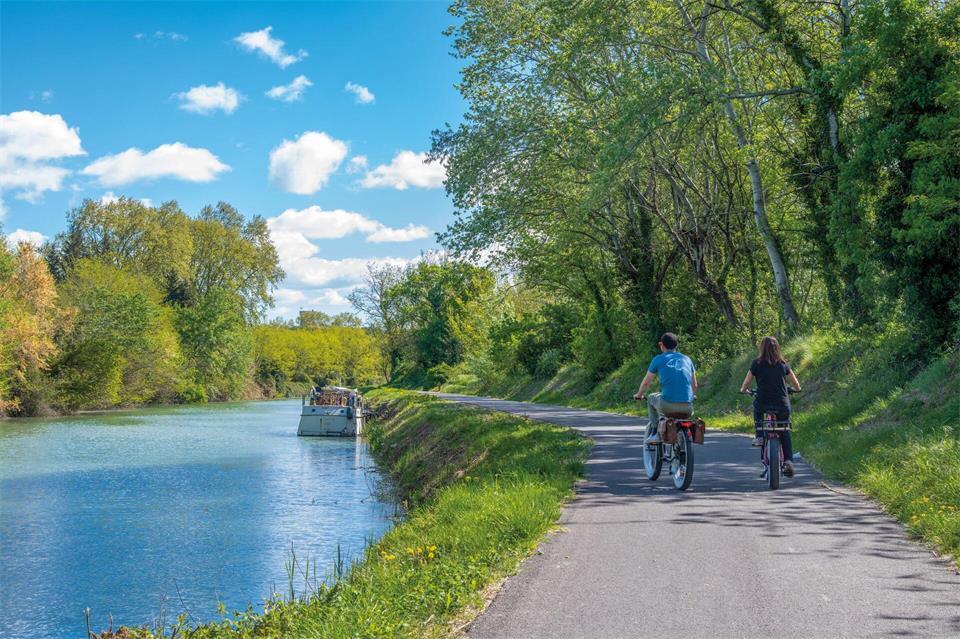 Bei Beaucaire verläuft der Radfernweg ViaRhôna direkt entlang des Rhône-Ufers.Office de Tourisme Beaucaire Terre d´Argence/dpa-tmn