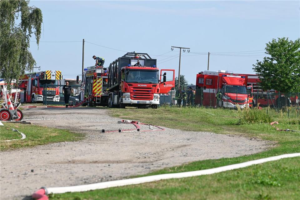 Bei Bränden in großen Tierhaltungsanlagen stoßen Feuerwehren nach Einschätzung von Fachleuten schnell an ihre Grenzen. (Archivbild) Heiko Rebsch/dpa