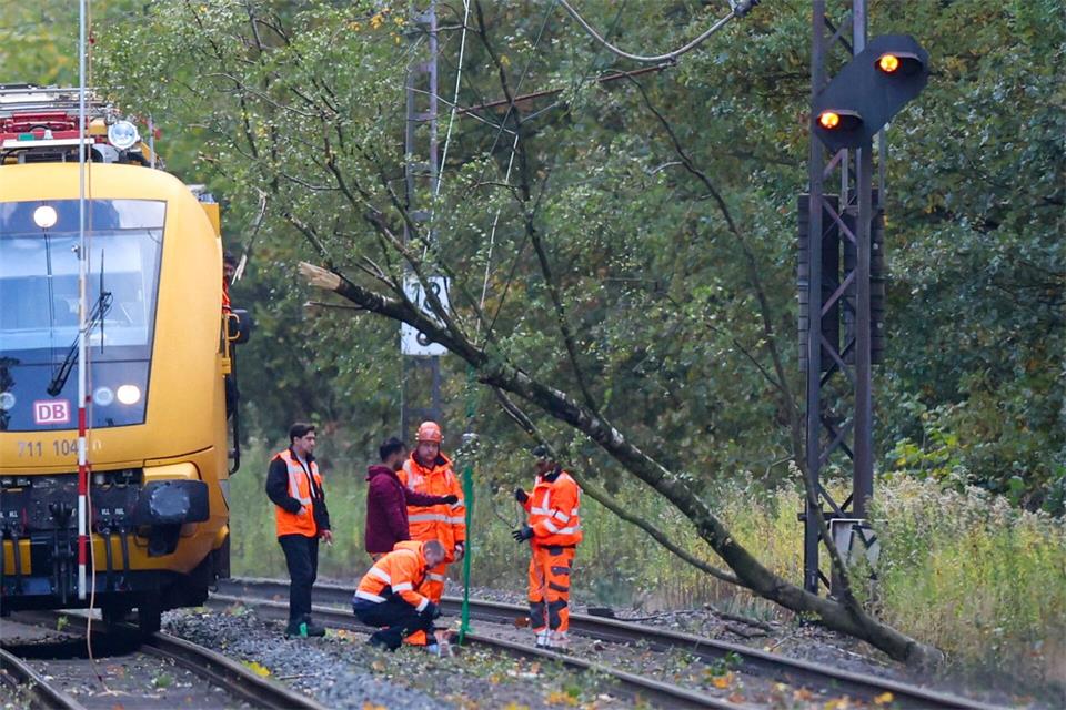 Bei Marl ist ein Baum in eine Oberleitung gefallen.Christoph Reichwein/dpa