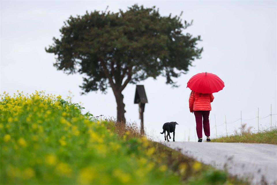 Bei Regen oder Sonnenschein: Tägliche Spaziergänge helfen dem Körper, sich besser an Temperaturwechsel zu gewöhnen.picture alliance/dpa