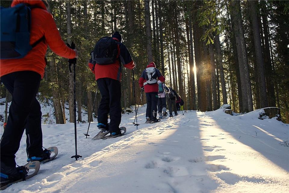 Bei Schneeschuhwanderungen im Karwendel wechseln sich Wälder und freie Flächen ab.TVB Silberregion Karwendel/dpa-tmn
