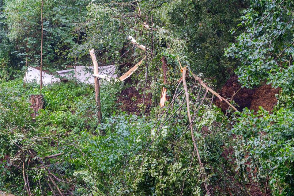 Bei Unwetter in Sachsen ist ein Mann von einem umgestürzten Baum erschlagen worden.Jonas Schubert/xcitepress/dpa