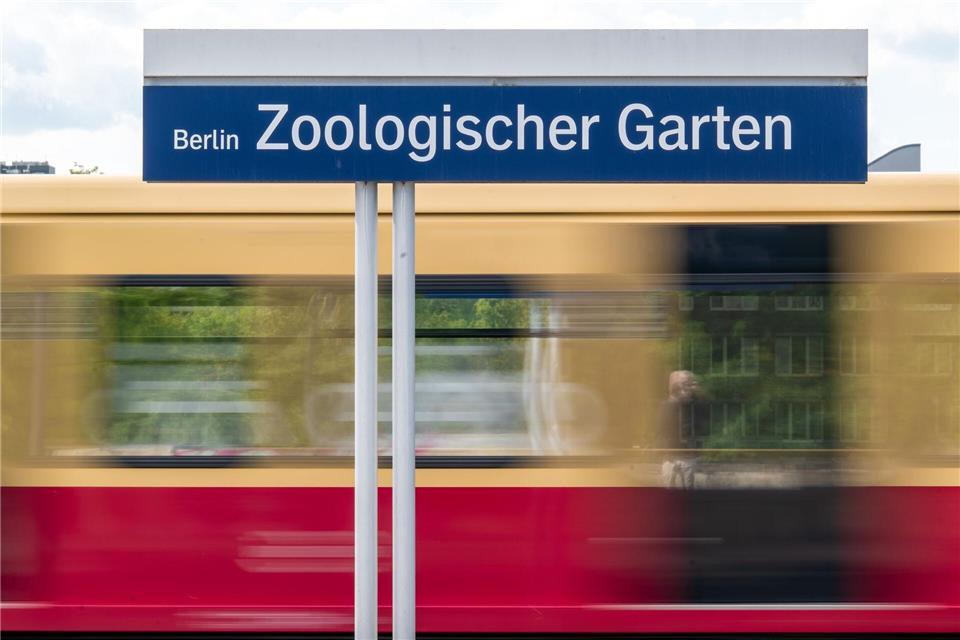 Bei Verstößen drohen Hausverweise und Hausverbote. (Archivbild)Soeren Stache/dpa