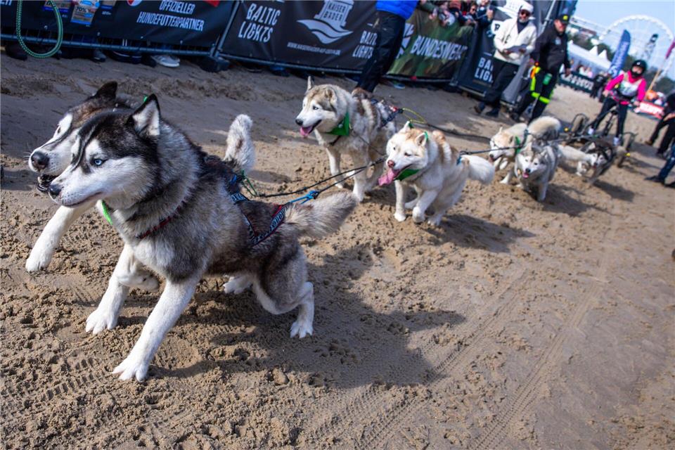 Bei dem Event wird alljährlich Geld für die Welthungerhilfe gesammelt.Jens Büttner/dpa