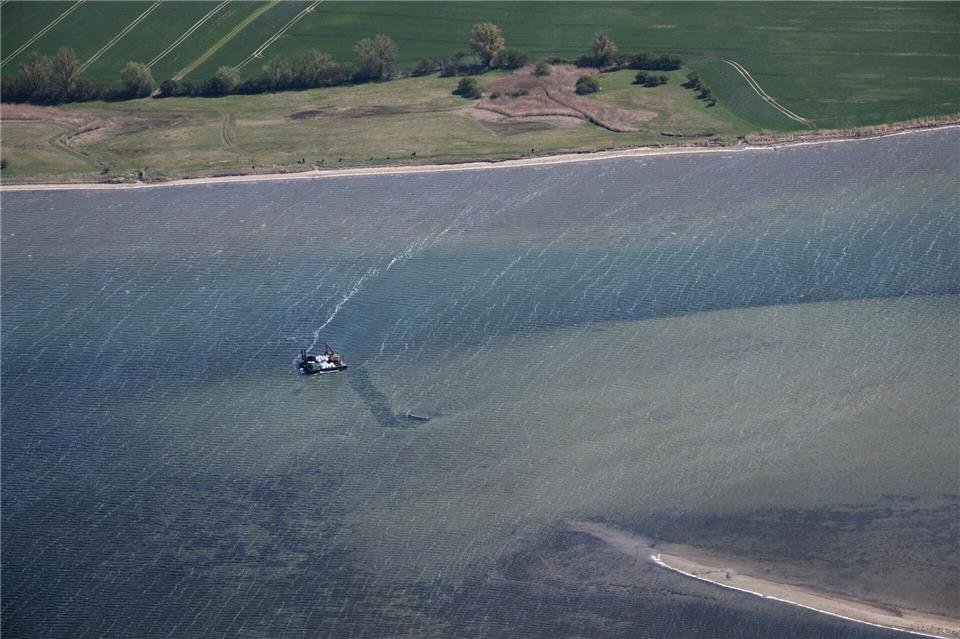 Bei dem Rettungsversuch des Wals soll ein Gurt zum Einsatz kommen. (Archivbild)Philip Dulian/dpa
