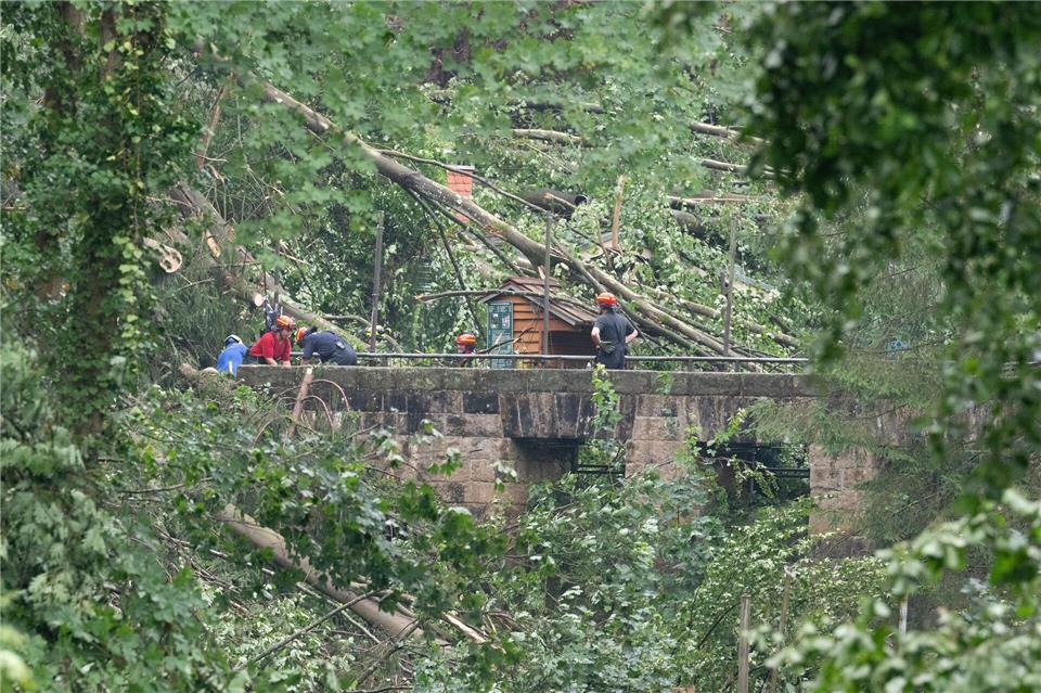 Bei dem Unwetter stürzten zahlreiche Bäume um. Sebastian Kahnert/dpa
