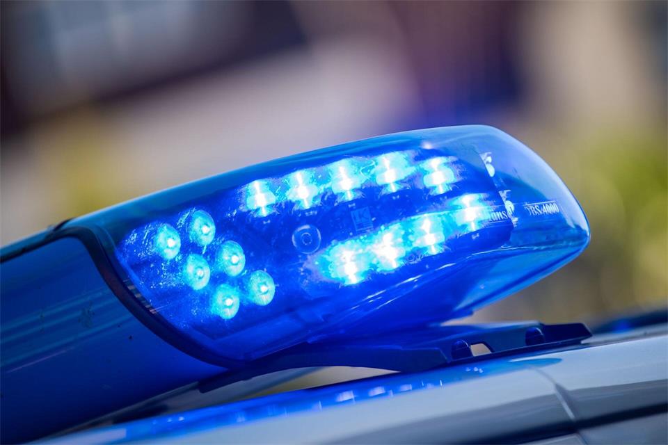 Bei dem Versuch, ihren kleinen Hund zu schützen, wird die 71-Jährige verletzt. (Symbolbild)Lino Mirgeler/dpa