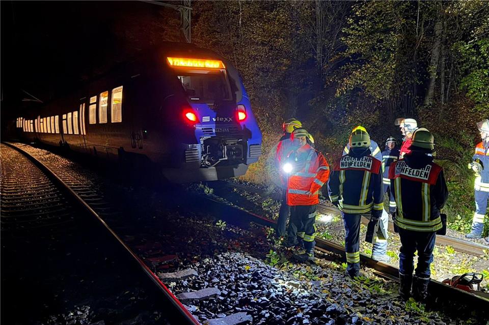 Sturmtief über Deutschland – Bäume stürzen um Bei dem Zusammenstoß mit einem Baum wurde kein Passagier des Zuges verletzt. Thorsten Kremers/dpa