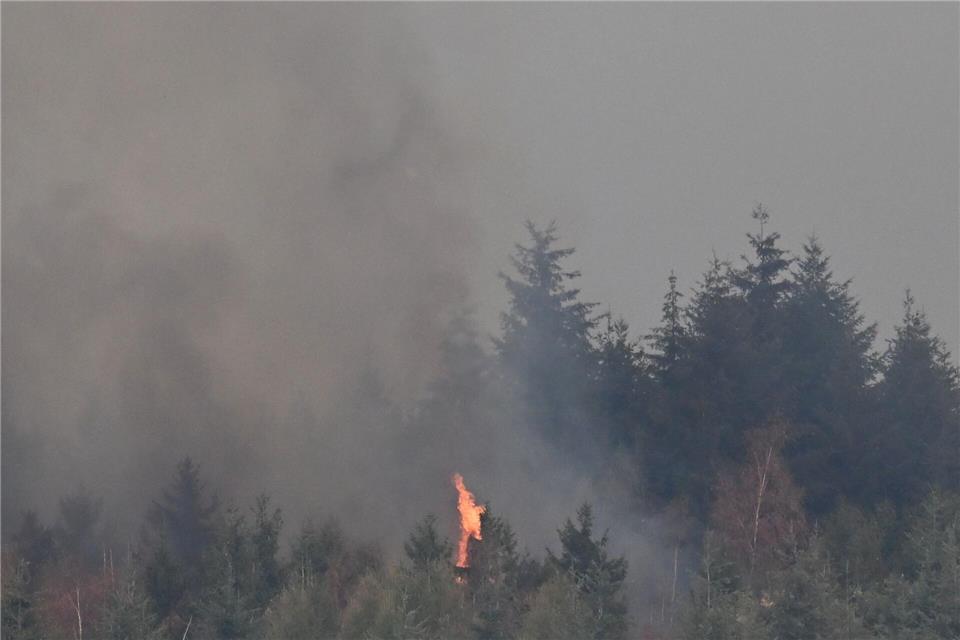 Bei dem großen Waldbrand nahe Hürtgenwald im nordrhein-westfälischen Kreis Düren hat sich die Lage in der Nacht zugespitzt.Federico Gambarini/dpa