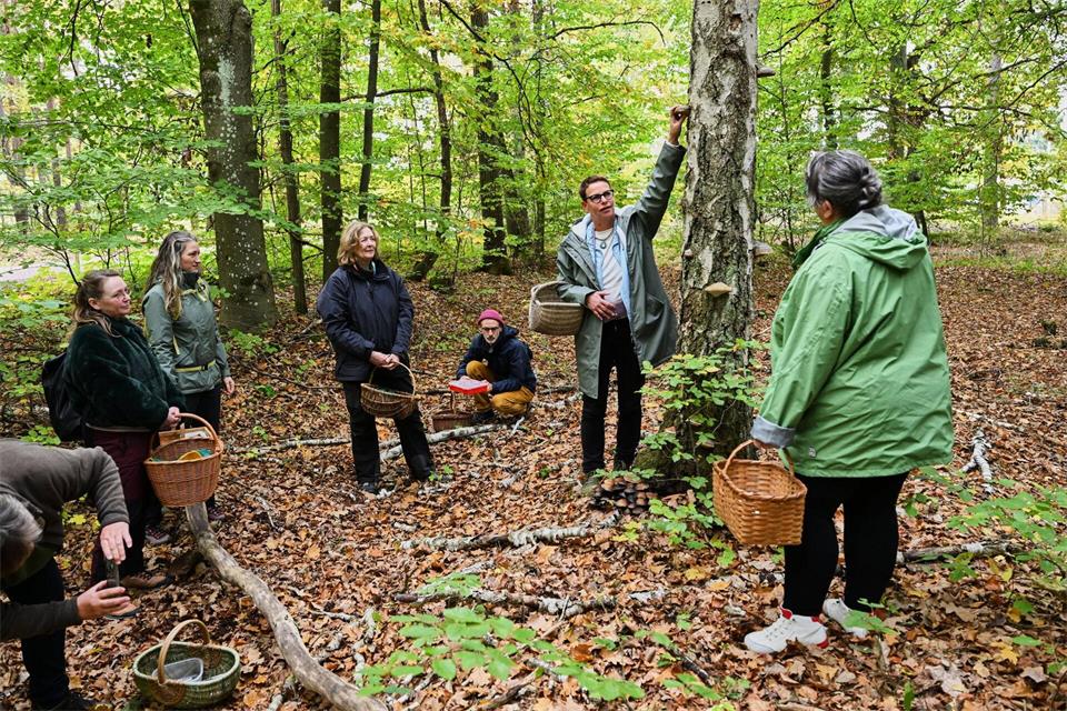 Bei den Pilzkursen geht es für die Teilnehmer selbstverständlich auch in den Wald.Jens Kalaene/dpa