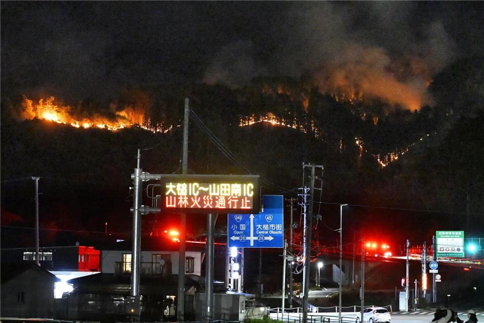 Bei den Waldbränden sind bislang keine Personen ums Leben gekommen. -/kyodo/dpa