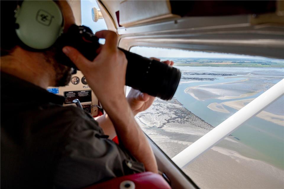 Bei den Zählflügen wird aus der Luft nach den Seehunden Ausschau gehalten. (Archivbild)Hauke-Christian Dittrich/dpa