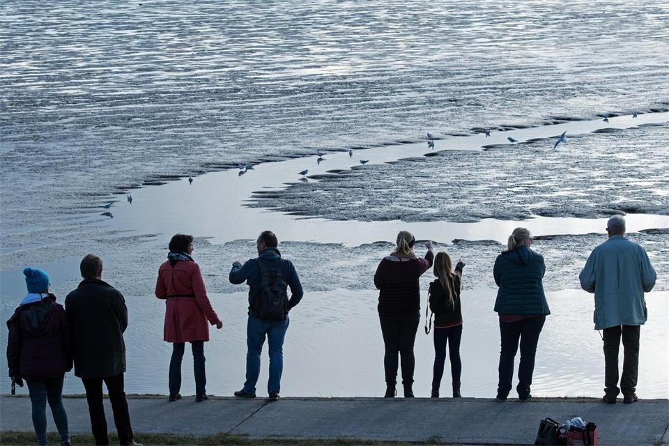 Bei den Zugvogeltagen gibt es mehr als 300 Veranstaltungen rund um den Vogelzug. (Archivbild)picture alliance / dpa
