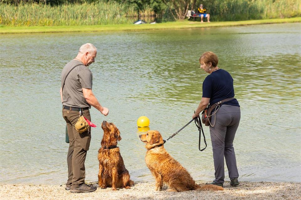 Bei den ersten Hundebadetagen in Dresden spielte auch das sonnige Wetter mit. Jürgen Lösel/dpa