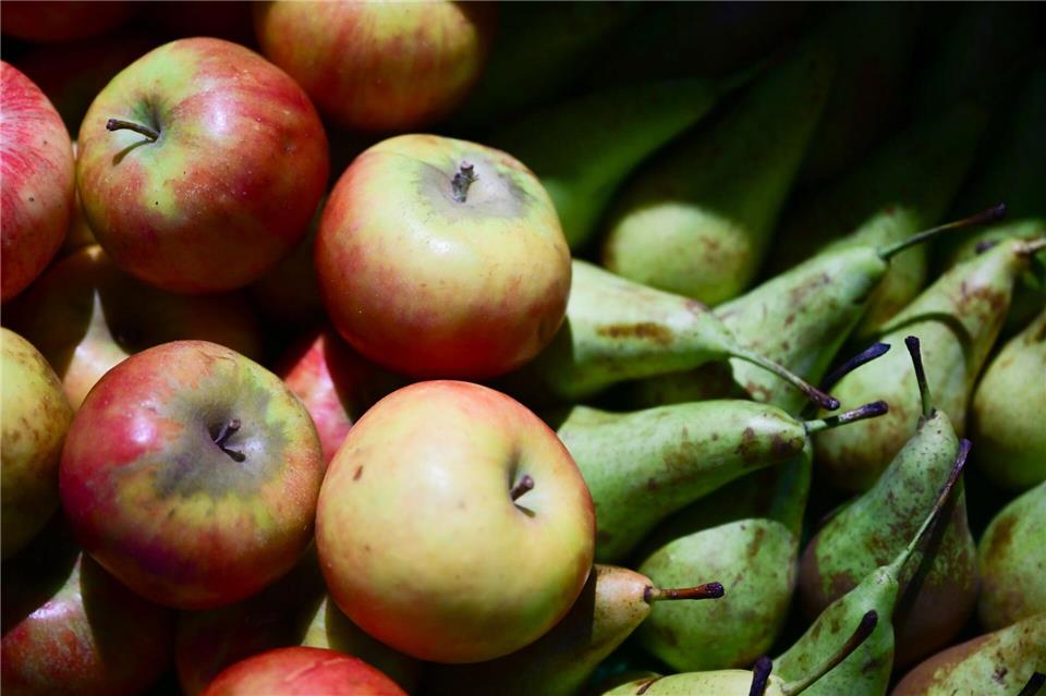 Bei der Grünen Woche gibt es stets zahlreiche Lebensmittel.Sebastian Christoph Gollnow/dpa