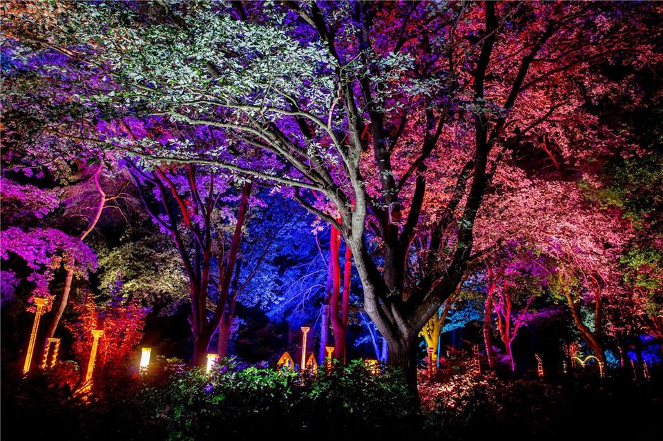 Bei der Illumination werden im Park auch Gärten, Bäume, Sträucher und Wege angeleuchtet.Hauke-Christian Dittrich/dpa