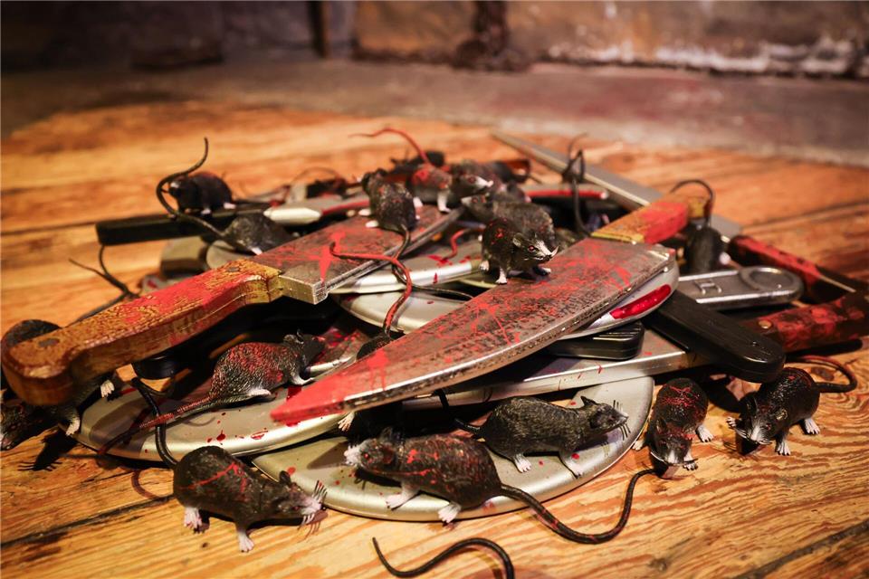 Bei der Inventur wurden jede Menge Folterwerkzeuge aus verschiedenen Epochen zusammengetragen - im gesamten Dungeon tummeln sich 610 Deko-Ratten.Christian Charisius/dpa
