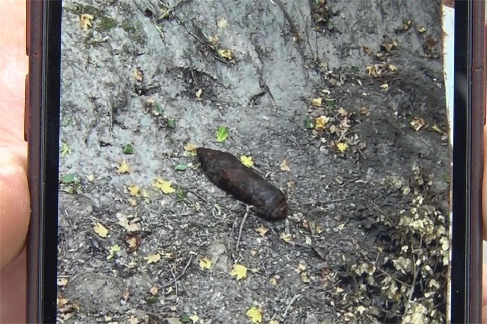 Bei der Kartoffelernte im Landkreis Osnabrück wurde eine Splitterbombe aus dem Zweiten Weltkrieg entdeckt.NWM-TV/dpa