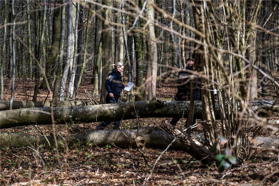 Bei der Ostereiersuche einer Gruppe stürzt ein Baum um.Benjamin Nolte/dpa