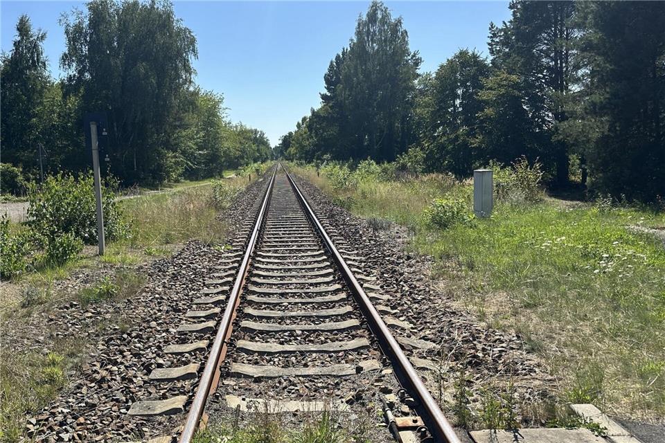 Bei der Polizei gehen täglich Vermisstenanzeigen ein, wobei sich die meisten rasch erledigen, weil die Verschwundenen nach kurzem wieder auftauchen oder schnell gefunden werden können. (Symbolbild)Danilo Dittrich/dpa